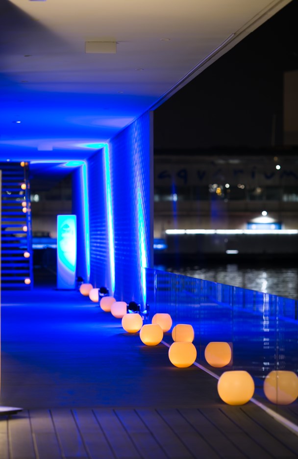 The walkway lit up at night